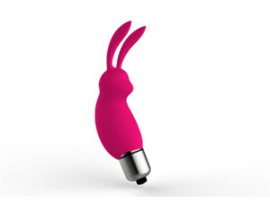 Pussy Rabbit Vibrator With Bullet Sex Toy
